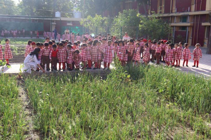 NATURE WALK TO THE VEGETABLE GARDEN