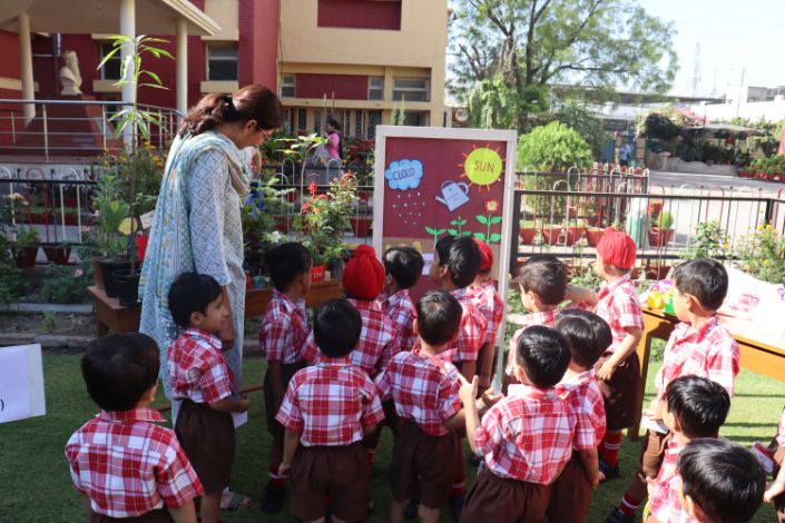 Planting a seed activity-KG BLOCK