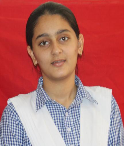 MANMEHAK KAUR-91.8%