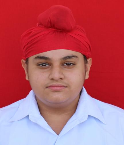 AMITESHWAR SINGH RAJPUT-CGPA 10